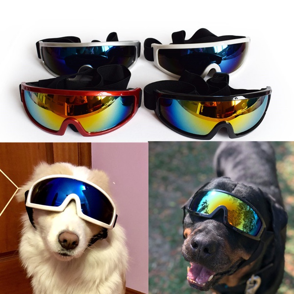 UV sunglasses for Dog